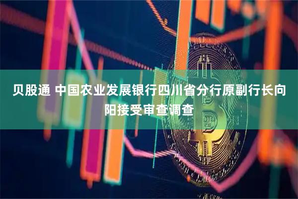 贝股通 中国农业发展银行四川省分行原副行长向阳接受审查调查