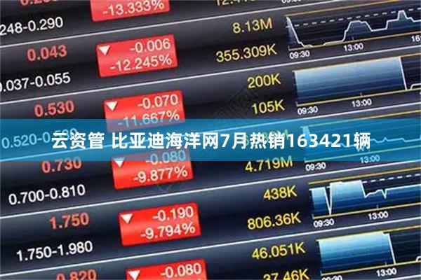 云资管 比亚迪海洋网7月热销163421辆